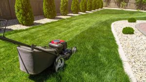 The 5 Best lawn mowers for zoysia grass